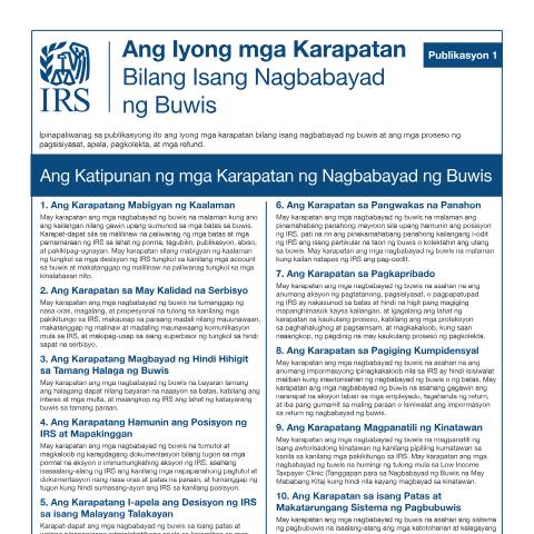 Document preview: IRS Publication p1tl — IRS, United States (CERFA n°PUB-1TL)