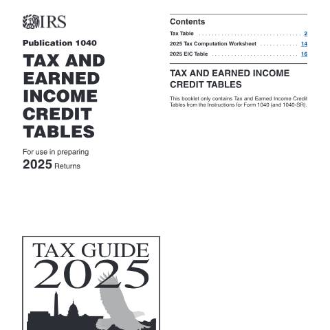 Document preview: IRS Publication p1040 — IRS, United States (CERFA n°PUB-1040)