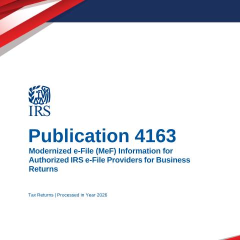 Document preview: IRS Publication p4163 — IRS, United States (CERFA n°PUB-4163)