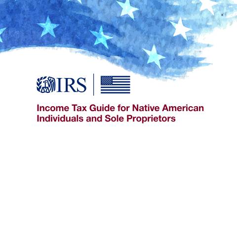Document preview: IRS Publication p5424 — IRS, United States (CERFA n°PUB-5424)