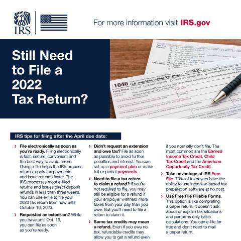 Document preview: IRS Publication p5651 — IRS, United States (CERFA n°PUB-5651)