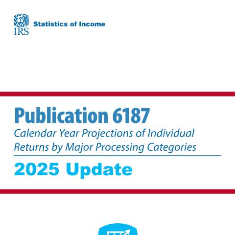 Document preview: IRS Publication p6187 — IRS, United States (CERFA n°PUB-6187)