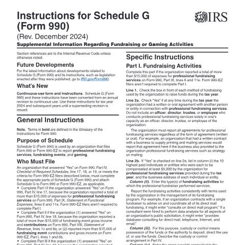 Document preview: IRS Instructions i990sg — IRS, United States (CERFA n°INST-990SG)
