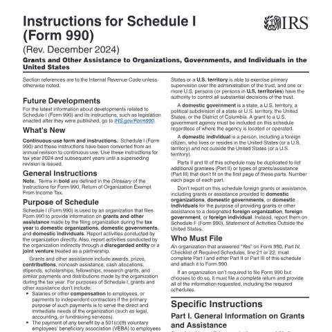 Document preview: IRS Instructions i990si — IRS, United States (CERFA n°INST-990SI)