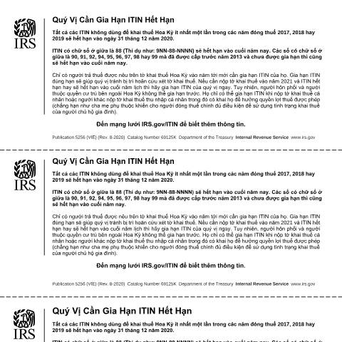 Document preview: IRS Publication p5256vn — IRS, United States (CERFA n°PUB-5256VN)