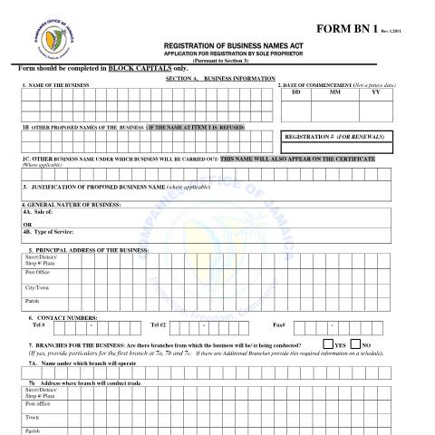 Document preview: Form BN1 (FOR RENEWAL ONLY) — Form, Jamaica (CERFA n°bn1 rev 1.2011)