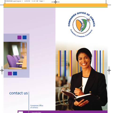 Document preview: The Duties of a Company Director — Guide, Jamaica (CERFA n°DIRECTOR DUTIES)