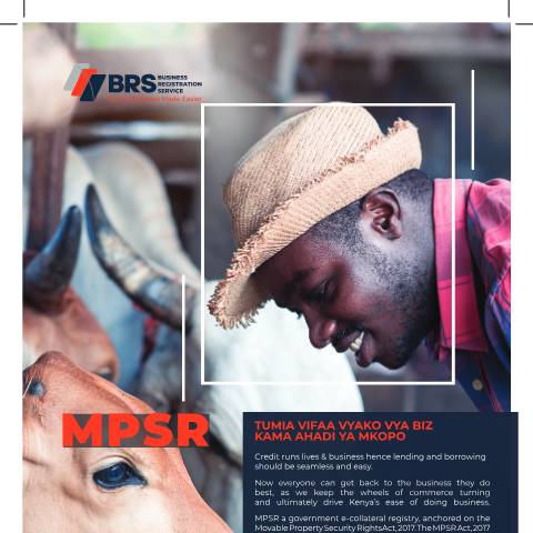Document preview: MPRS — Document, Kenya (CERFA n°MPRS)