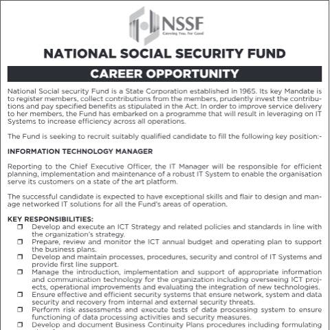 Document preview: Information Technology Manager — Form, Kenya (CERFA n°Information-Technology-Manager)