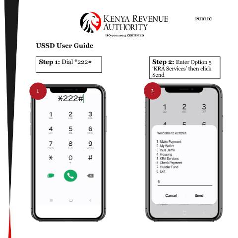 Document preview: USSD (*222#) User Guide — Guide, Kenya (CERFA n°USSD-User-Guide---2026)