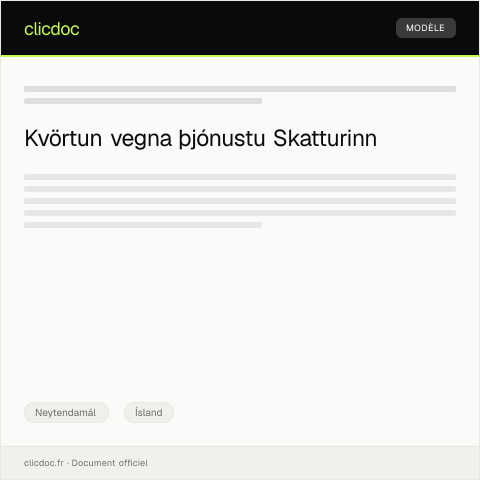 Document preview: Kvörtun um ófullnægjandi þjónustu frá fyrirtæki — Neytendamál, Ísland