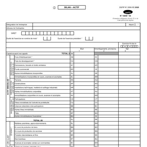 Aperçu du document Liasse fiscale du régime réel normal (BIC/IS) — Professionnels, France (CERFA n°15949*07)