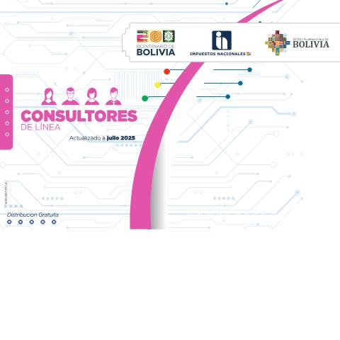 Vista previa del documento TEXTO CONSULTORES — Llenado de formularios 110 / 610, Bolivia