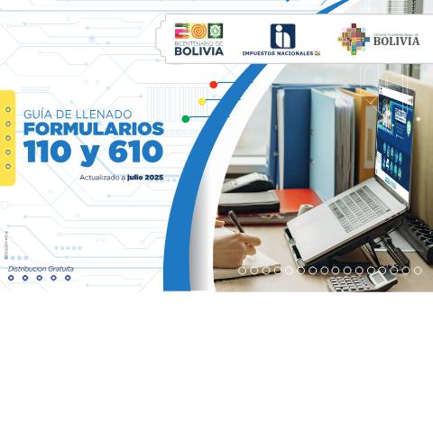 Vista previa del documento TEXTO FORMULARIOS 110 610 — Llenado de formularios 110 / 610, Bolivia
