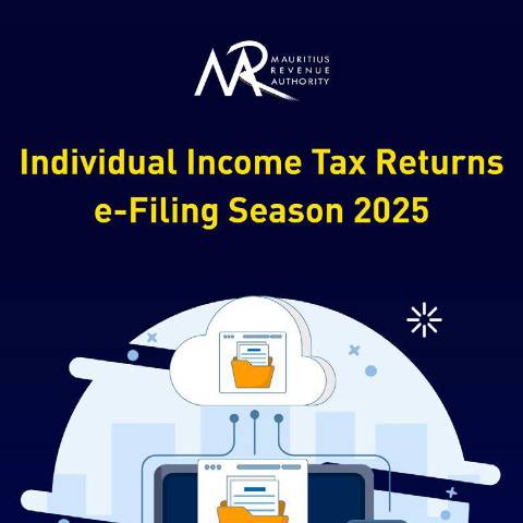 Document preview: Individual Income Tax Returns : e-Filing — Form, Mauritius (CERFA n°IndividualeFilingGuide)