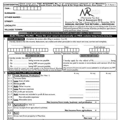 Document preview: Individual Return 01 — Form, Mauritius (CERFA n°Form012013)