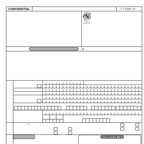 Document preview: Individual Return 1A (for Employees only) — Form, Mauritius (CERFA n°ind1a04)