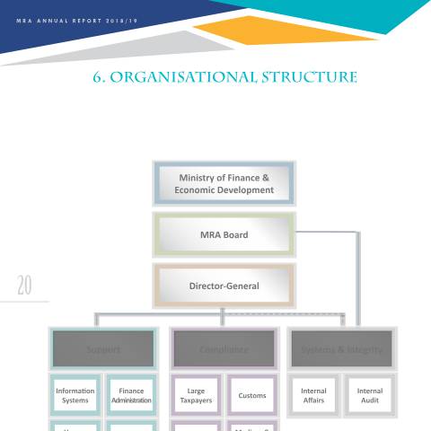Document preview: Organisational Structure — Document, Mauritius (CERFA n°AR1819-6)