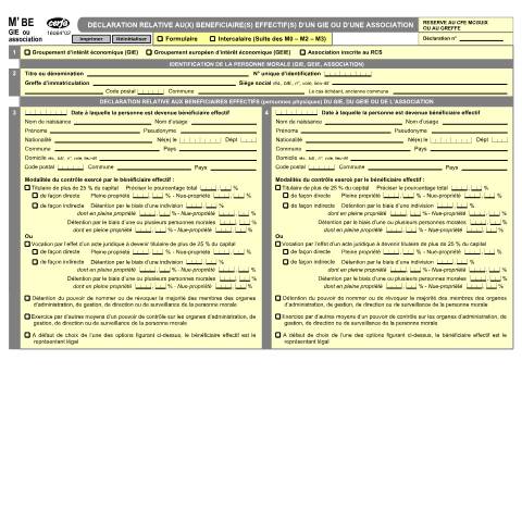 Aperçu du document M'BE GIE - association — Professionnels, France (CERFA n°16064*02)