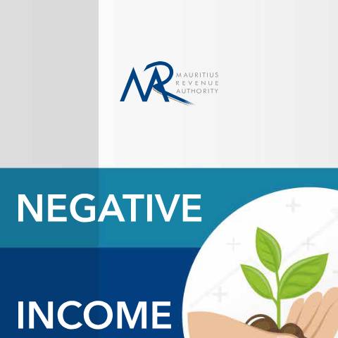Document preview: Leaflet for Negative Income Tax — Document, Mauritius (CERFA n°NITLeafletEn)