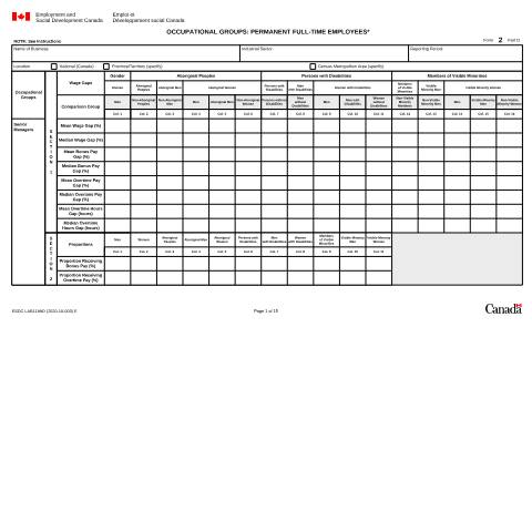 Document preview: Form 2D – Occupational Groups: Permanent Full-time Employees (Employment Equity Forms 2021) — Labour, Canada (CERFA n°LAB1199D)