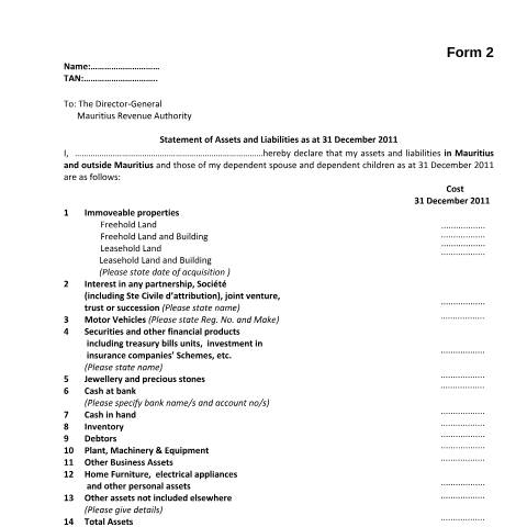 Document preview: Form 2 — Form, Mauritius (CERFA n°Form2Amnesty2013)