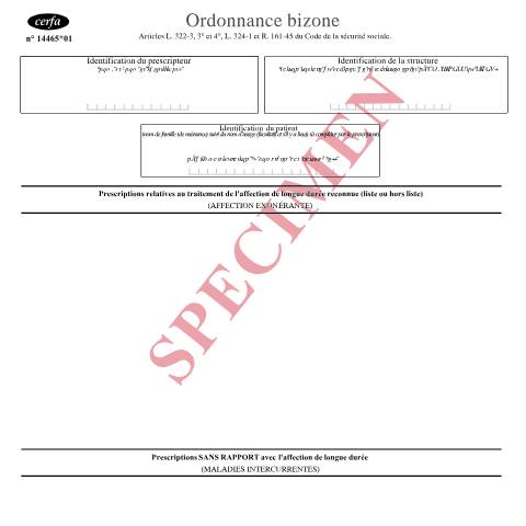 Aperçu du document Ordonnance bizone — Particuliers, France (CERFA n°14465*01)
