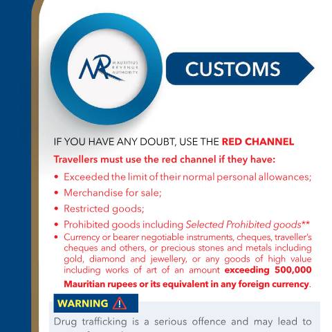 Document preview: English Version — Document, Mauritius (CERFA n°PassengerInfoEnglish)