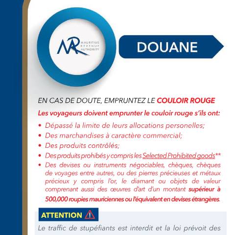 Document preview: French Version — Document, Mauritius (CERFA n°PassengerInfoFrench)