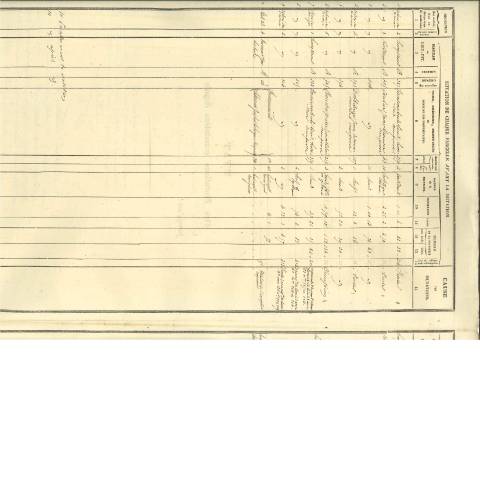 Aperçu du document Exemple d’un état de mutation. (PDF, 1.31 Mo) — Quelles pièces d’archives puis-je demander ?, Belgique (CERFA n°mutatietaat 223)