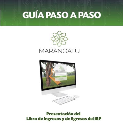 Vista previa del documento Guía paso a paso - Presentar Libro de Ingresos y Egresos - IRP — Guias / IRP, Paraguay