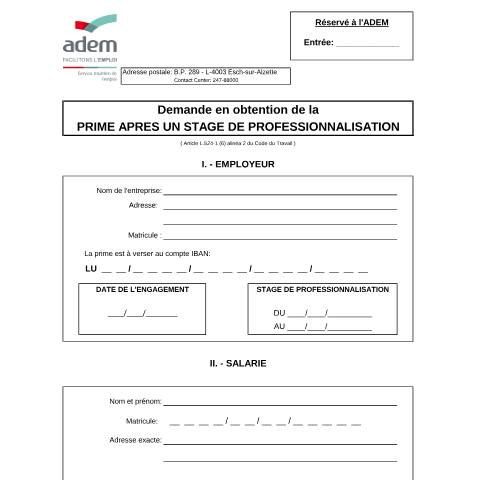 Aperçu du document Prime après un stage de professionnalisation — Contrat recrutement, Luxembourg (CERFA n°Prime-SP-DEMANDE-INITIALE)