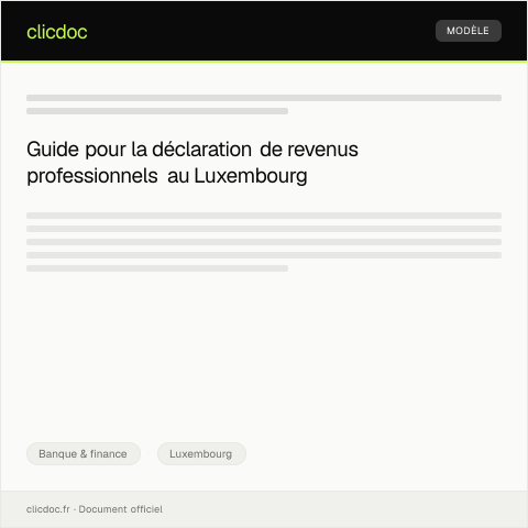Aperçu du document Procédure pour la déclaration de revenus professionnels — Banque & finance, Luxembourg
