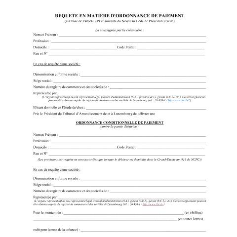 Aperçu du document Requête en matière d'ordonnance de paiement - tribunal d'arrondissement — Creances, Luxembourg (CERFA n°requete-ordonnance-paiement-plus-15000)