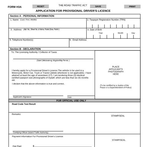Document preview: Provisional Driver's Licence — Document, Jamaica (CERFA n°provisional+drivers+licence_+efillable23012020)