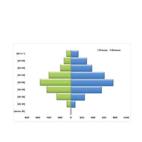 Aperçu du document Pyramide des ages 2021 — Rapport, Côte d'Ivoire