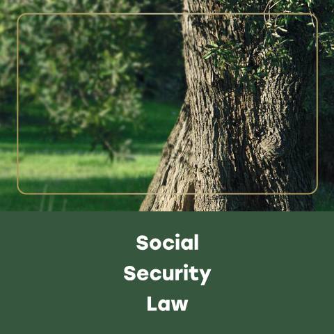 Document preview: Social Security Law No.1 for the year 2014 — Sitemap, الأردن (CERFA n°law 26.1.2025 compressed)