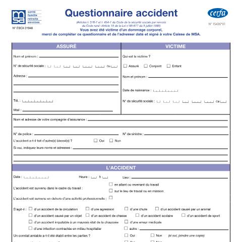 Aperçu du document Questionnaire accident — Professionnels, France (CERFA n°15436*01)