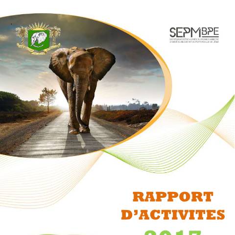 Aperçu du document rapport activites 2017 — Rapport, Côte d'Ivoire