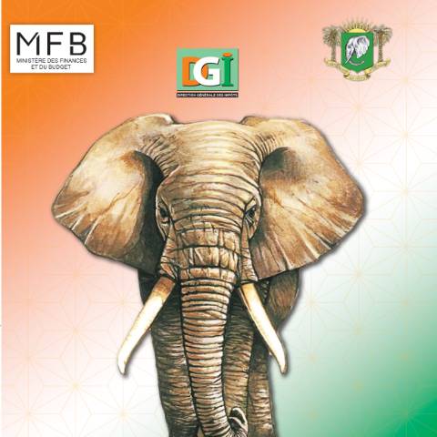Aperçu du document RAPPORT ACTIVITES 2022 — Rapport, Côte d'Ivoire