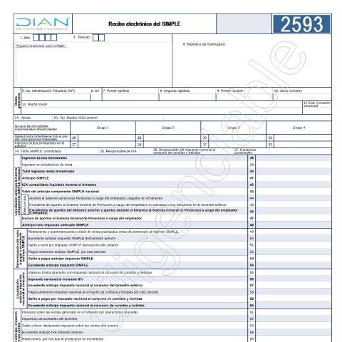 Vista previa del documento Recibo electrónico del SIMPLE. Resolución 000025 de marzo 19 de 2021. — Año 2022, Colombia (CERFA n°F2593-2022)