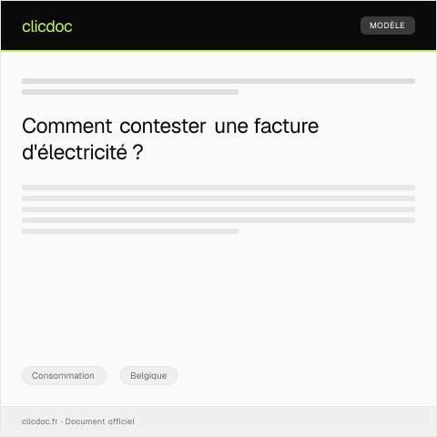 Aperçu du document Réclamation concernant une facture d’électricité contestée — Consommation, Belgique