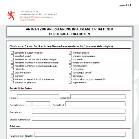 Aperçu du document de Antrag zur Anerkennung im Ausland erhaltener Berufsqualifikationen — Professions sante, Luxembourg (CERFA n°demande-reconnaissance)