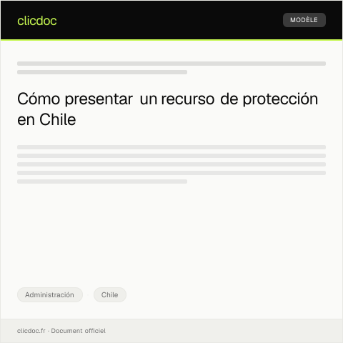 Vista previa del documento Presentar recurso de protección ante la Corte de Apelaciones por derechos vulnerados — Administración, Chile