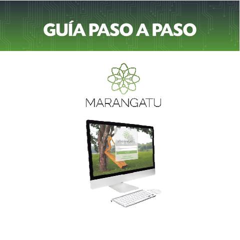 Vista previa del documento Guia Paso a Paso - Registro de comprobantes a través de Importación — Guias, Paraguay