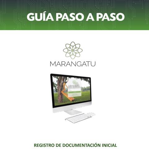 Vista previa del documento GUÍA PASO A PASO - REGISTRO DE DOCUMENTACIÓN INICIAL REQUERIDA (DIR) – PAGO EN EXCESO — Créditos Fiscales1, Paraguay
