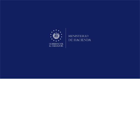 Vista previa del documento Paso a Paso para Realizar el Registro de Servicios en Línea de Contribuyentes — Guía / Instructivo, El Salvador (CERFA n°700-DDD-GA-2018-00060)