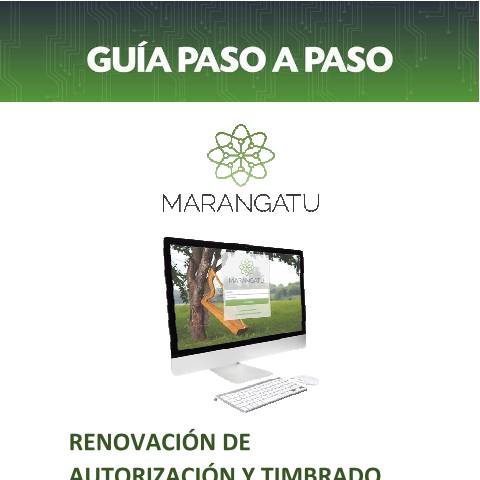 Vista previa del documento GUIA PASO A PASO - Renovación de Timbrado Autoimpresor — Guias / TIMBRADO, Paraguay