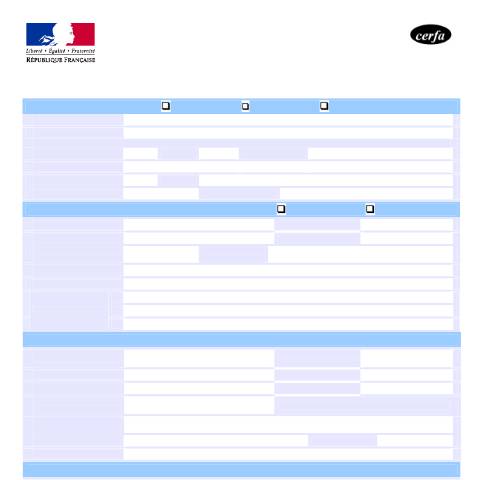 Aperçu du document Registre international français - Demande de réservation de nom, de numéro en vue de l'immatriculation d'un navire neuf ou existant — Professionnels, France (CERFA n°12701*02)