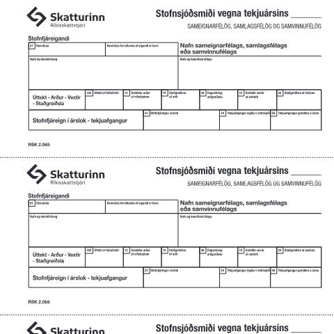 Document preview: RSK 2.065 Stofnsjóðsmiði, — Einstaklingar, Ísland